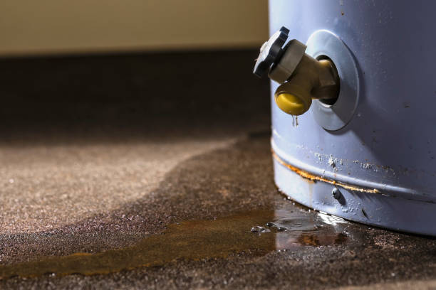 Trusted Carbondale, KS Water damage restoration Experts