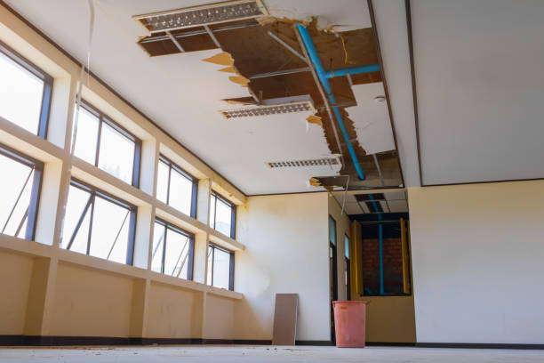 Best Fire Damage Restoration  in Carbondale, KS