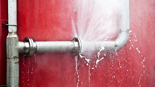 Best Flood damage cleanup  in Carbondale, KS